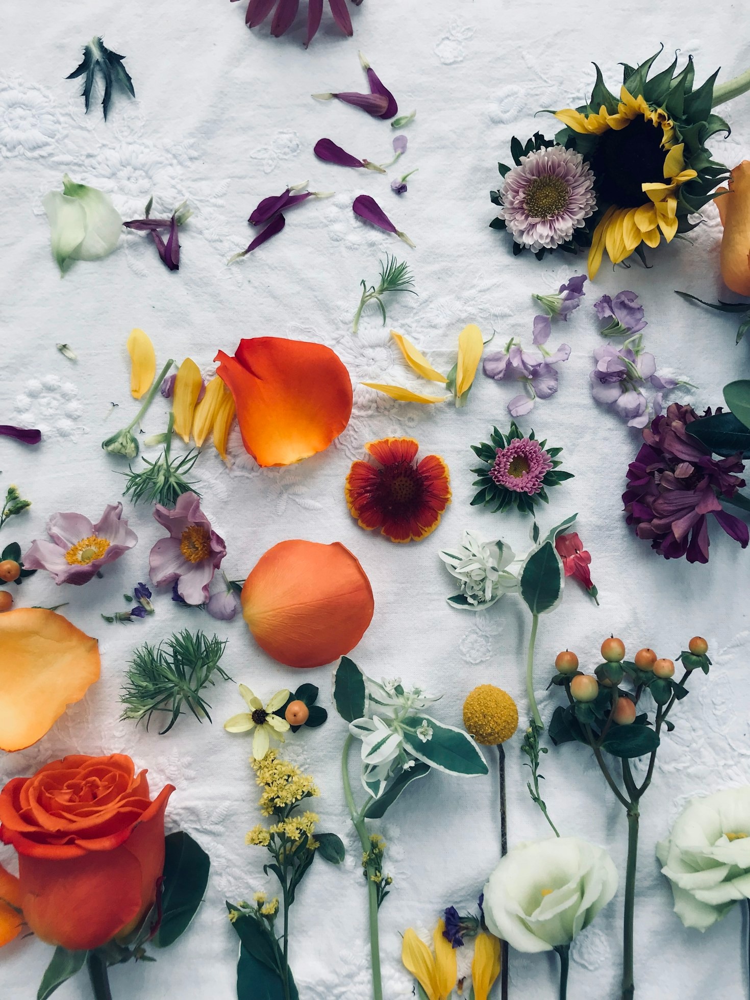 Como Escolher o Curso Certo de Terapia Floral